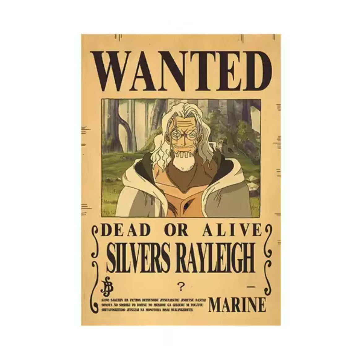 One Piece Bounty Poster