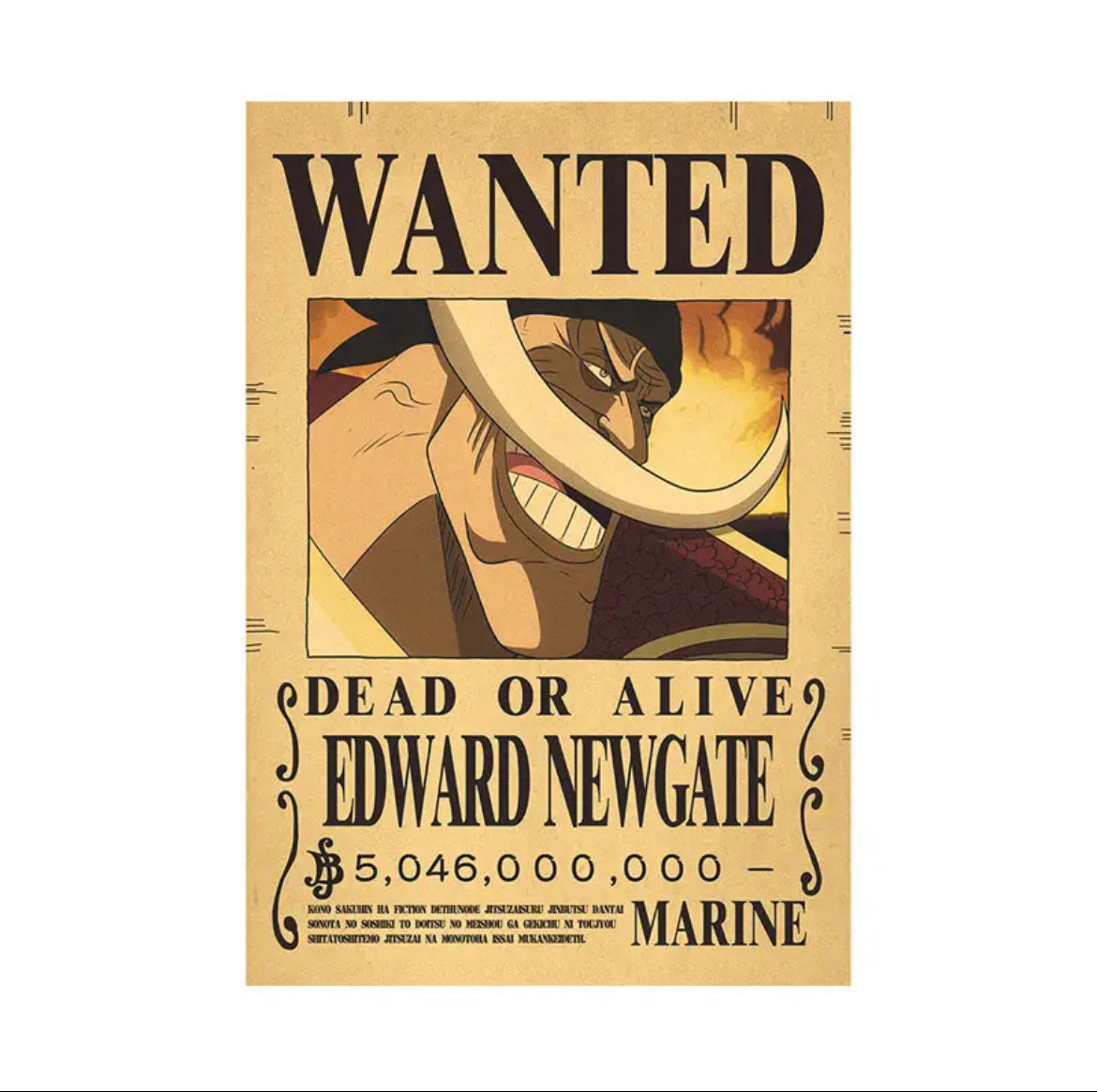 One Piece Bounty Poster