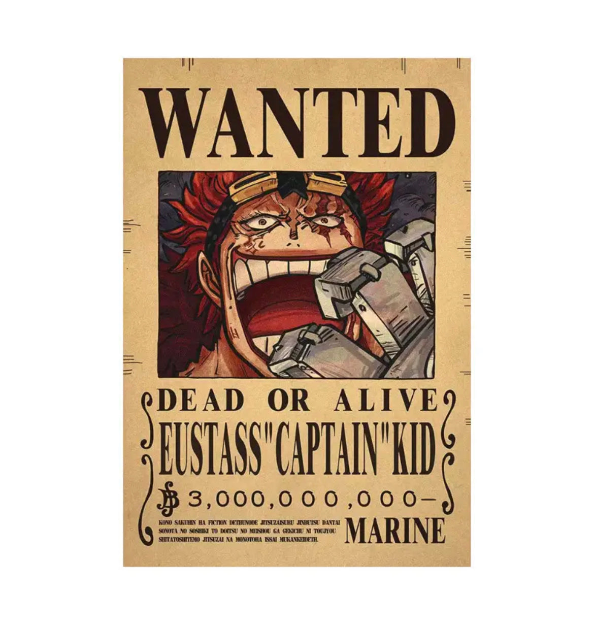 One Piece Bounty Poster