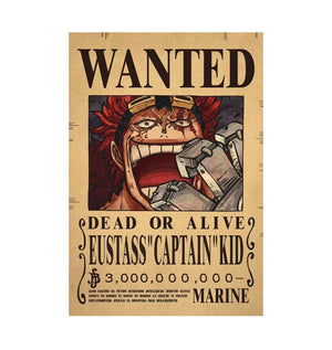 One Piece Bounty Poster