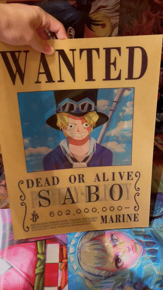 Onepiece 3D Poster (1)